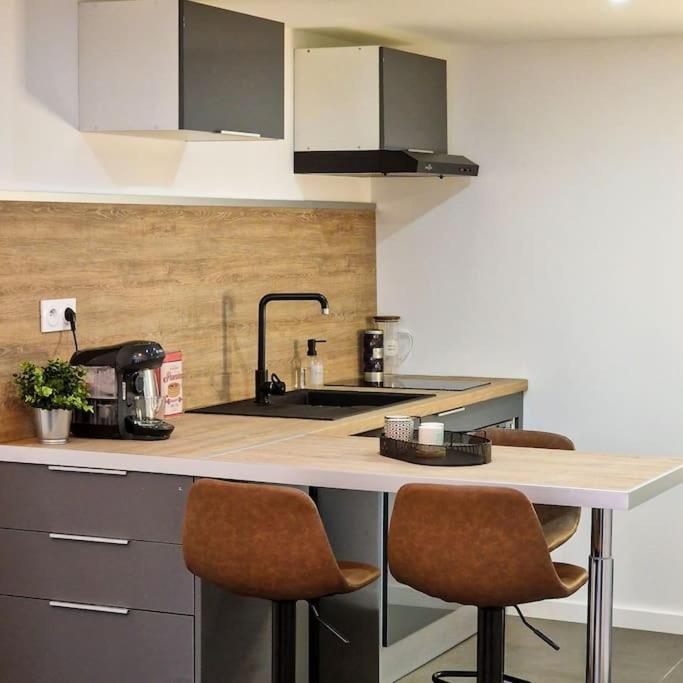 Grand Loft Avec Terrasse Privee Apartment Saint-Etienne  Luaran gambar